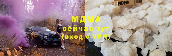 индика Мегион