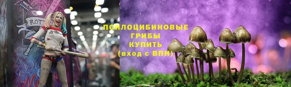 mdpv Медногорск