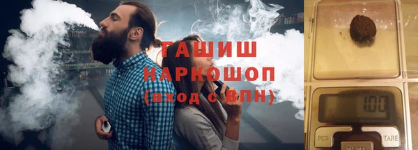 индика Мегион