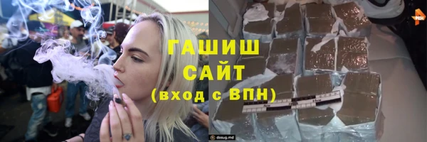индика Мегион