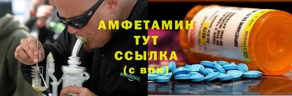 индика Мегион