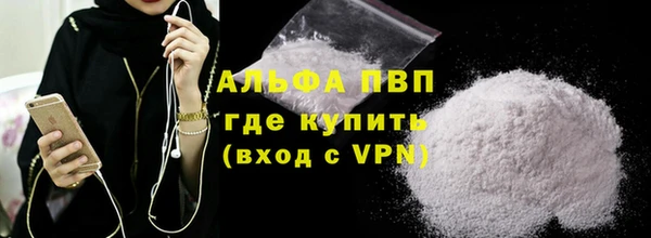 индика Мегион