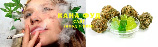 индика Мегион