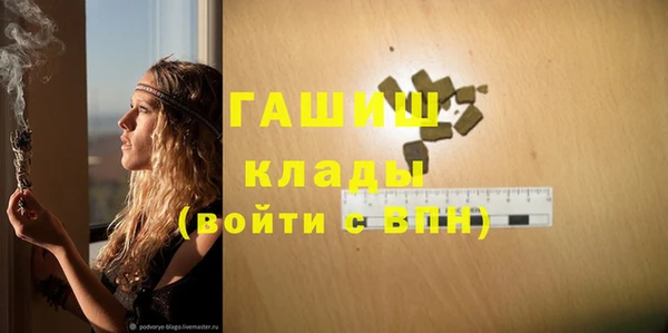 индика Мегион