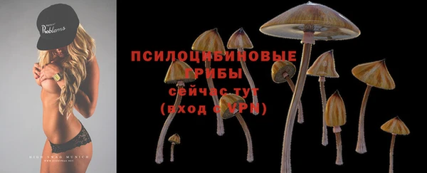 СК Михайловск
