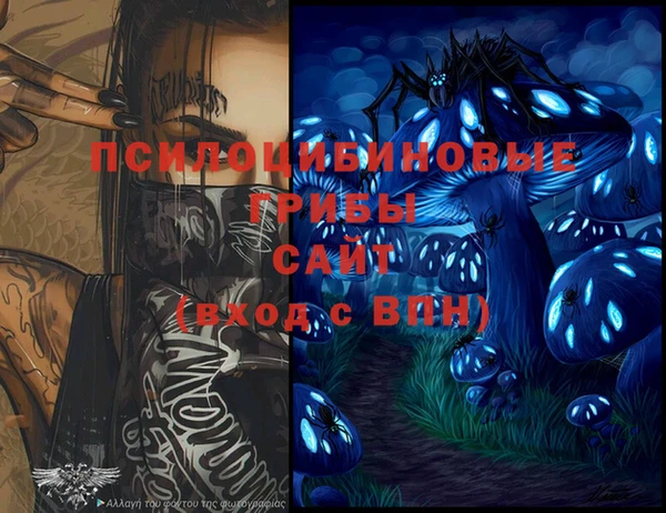 индика Мегион
