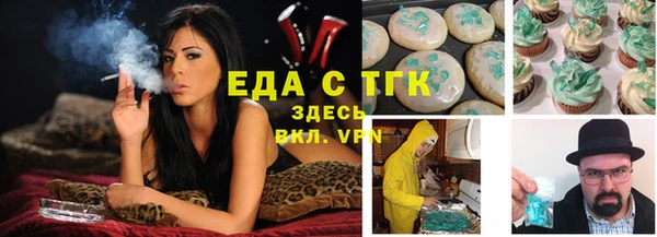 индика Мегион